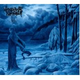 WOODS OF INFINITY WOODS OF INFINITY