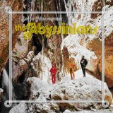 ABBYSSINIANS ABBYSSINIANS