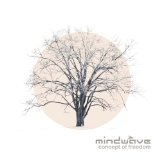 MINDWAVE