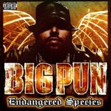 BIG PUN BIG PUN