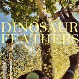 DINOSAUR FEATHERS