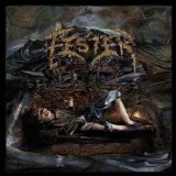 FESTER