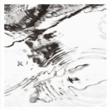 RODEN STEVE RODEN STEVE