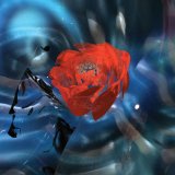 TEENGIRL FANTASY TEENGIRL FANTASY