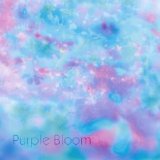 PURPLE BLOOM