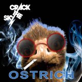 CRACK THE SKY