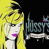 HUSSYS