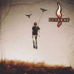 FLYLEAF