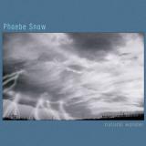 SNOW PHOEBE