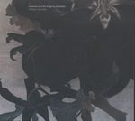 SUSANNA AND THE MAGICAL ORCHESTRA