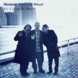 MEDESKI MARTIN & WOOD