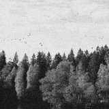 OCTOBER FALLS