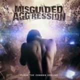 MISGUIDED AGGRESSION