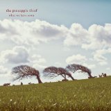 PINEAPPLE THIEF PINEAPPLE THIEF