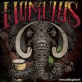 HUMULUS