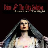 CRIME & THE CITY SOLUTION