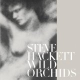 HACKETT STEVE HACKETT STEVE
