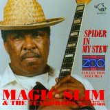 MAGIC SLIM