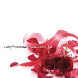 TORRES NOEL TORRES NOEL