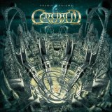 CEREBRUM