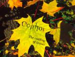 OOPHOI