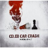 CELEB CAR CRASH