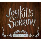 JOY KILLS SORROW