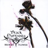 BLACK DAFFODILS
