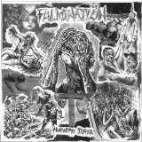 FULMINATION FULMINATION