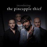 PINEAPPLE THIEF PINEAPPLE THIEF