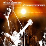 WILD HORSES WILD HORSES