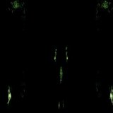 IMPETUOUS RITUAL IMPETUOUS RITUAL