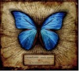 LEATHER STRIP LEATHER STRIP