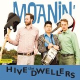 HIVE DWELLERS