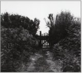 MODELO DE RESPUESTA POLAR