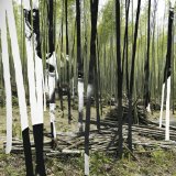 DELREY BOSCO DELREY BOSCO