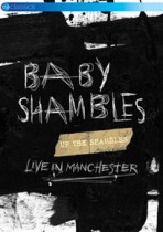 BABYSHAMBLES