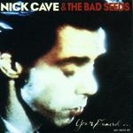 CAVE NICK