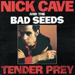 CAVE NICK