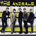 ANIMALS