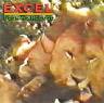 EXCEL