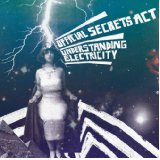 OFFICIAL SECRETS ACT