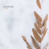 CLOUD CULT