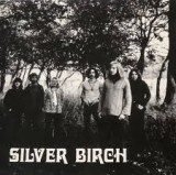 SILVER BIRCH