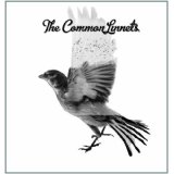 COMMON LINNETS COMMON LINNETS