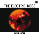 ELECTRIC MESS