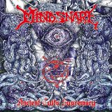 MIND SNARE