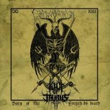 KULT OF TAURUS KULT OF TAURUS