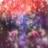 MAYBESHEWILL MAYBESHEWILL