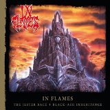 IN FLAMES IN FLAMES